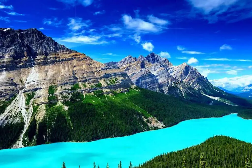 Voyager'S Hub- Calgary Innercity 3Bd 4Bed Sleeps 8 Vakantiehuis